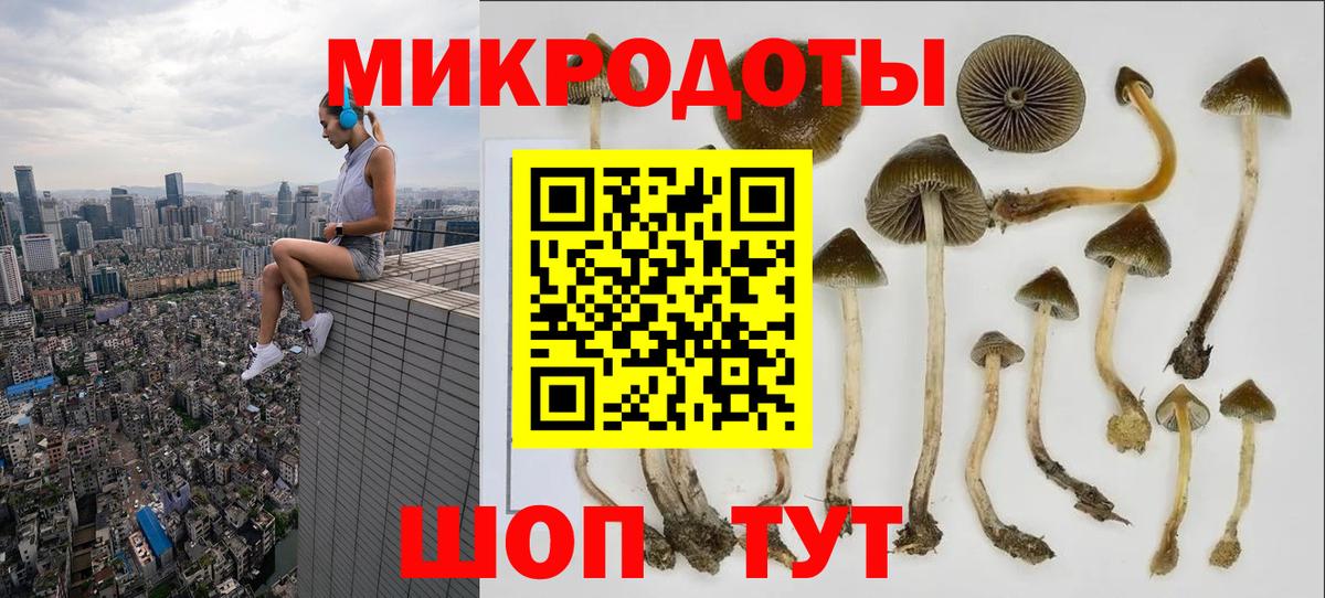 Галлюциногенные грибы MAGIC MUSHROOMS  Вход с VPN  Можайск  Псилоцибиновые грибы MAGIC MUSHROOMS 