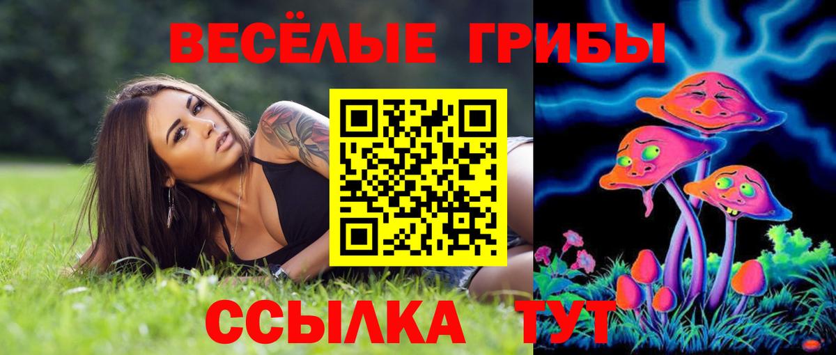 Псилоцибиновые грибы Magic Shrooms Можайск